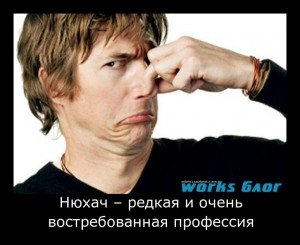 nyuhach_redkaya_i_ochen_vostrebovannaya_professiya1-300x245 (300x245, 20Kb)