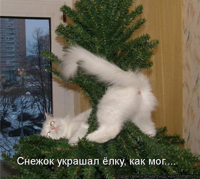1106950 (700x628, 69Kb)