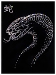  zmeabol (512x680, 115Kb)