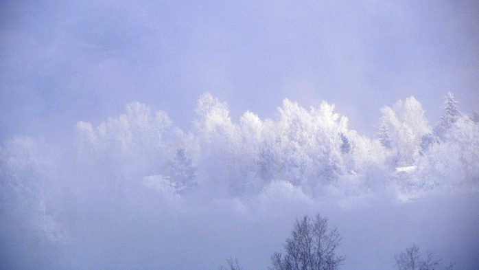 DSCN0426 (700x393, 178Kb)