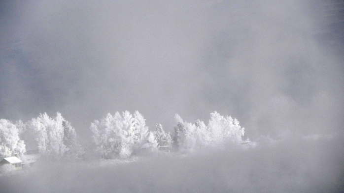 DSCN0427 (700x393, 160Kb)