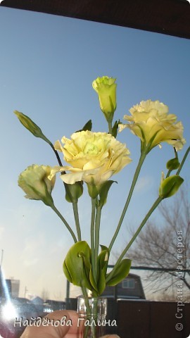  Мастер-класс, Флористика Лепка: Как я делаю стебель цветка. Фарфор холодный. Фото 1/3734205_dsc06085 (270x480, 30Kb)