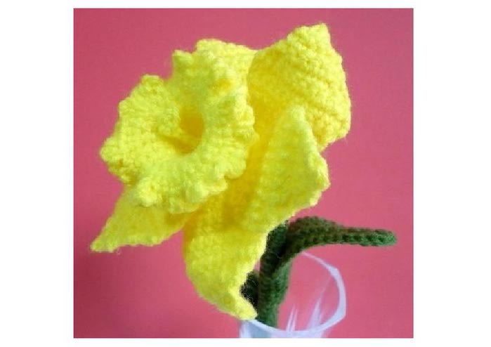flower daffodil+_1 (700x494, 26Kb)