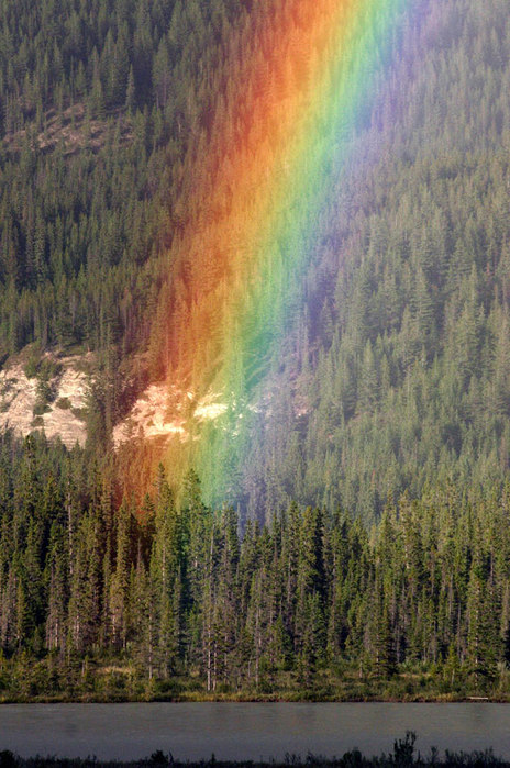 raduga_foto_07 (464x700, 123Kb)