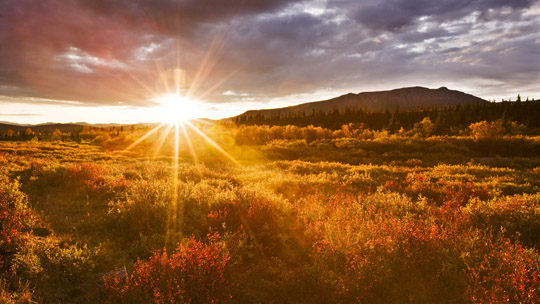 utro_rassvet_voshod_foto_14 (540x304, 82Kb)