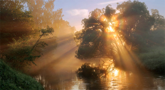 utro_rassvet_voshod_foto_35 (540x296, 61Kb)
