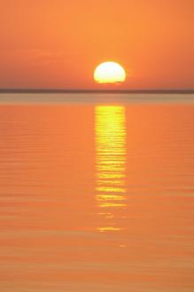 2901724_b0940f04 (219x329, 5Kb)