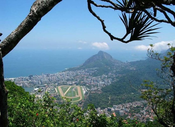 60316273_img_800px_Rio_de_Janeiro_from_Corcovado_mountain (700x511, 94Kb)