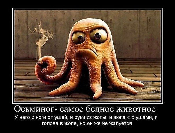  (604x459, 63Kb)