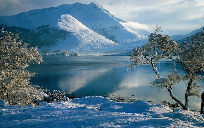 img 01539 (700x437, 279Kb)