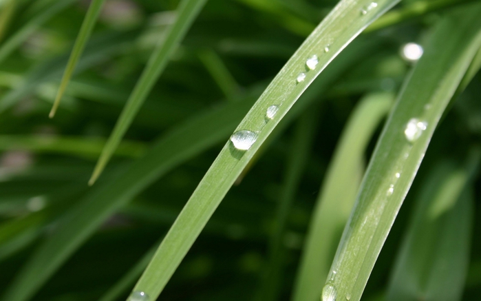 img 01542 (700x437, 151Kb)