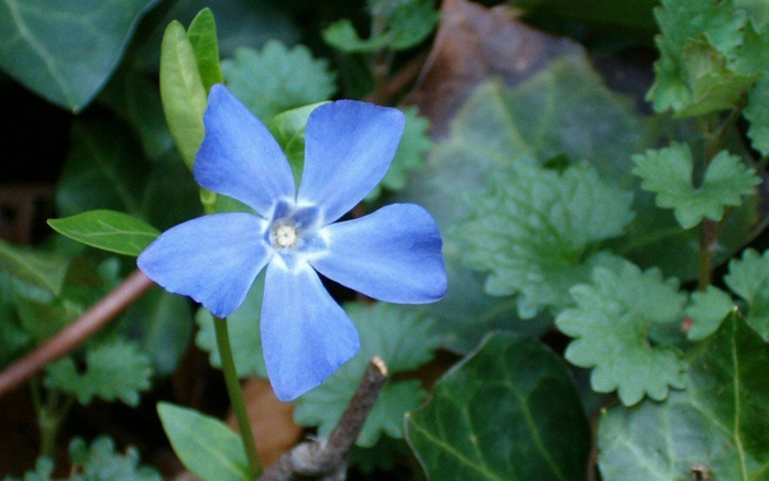 img 01598 (700x437, 211Kb)