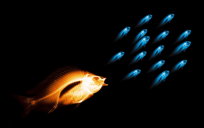 img 01607 (700x437, 72Kb)