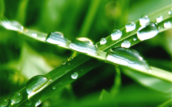 img 01617 (700x437, 200Kb)