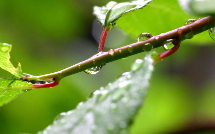 img 01664 (700x437, 176Kb)