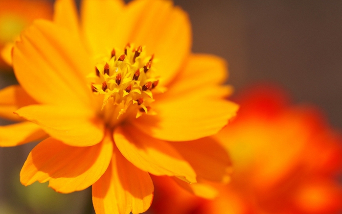 img 01677 (700x437, 153Kb)