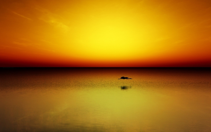 mix wall (60) (700x437, 139Kb)