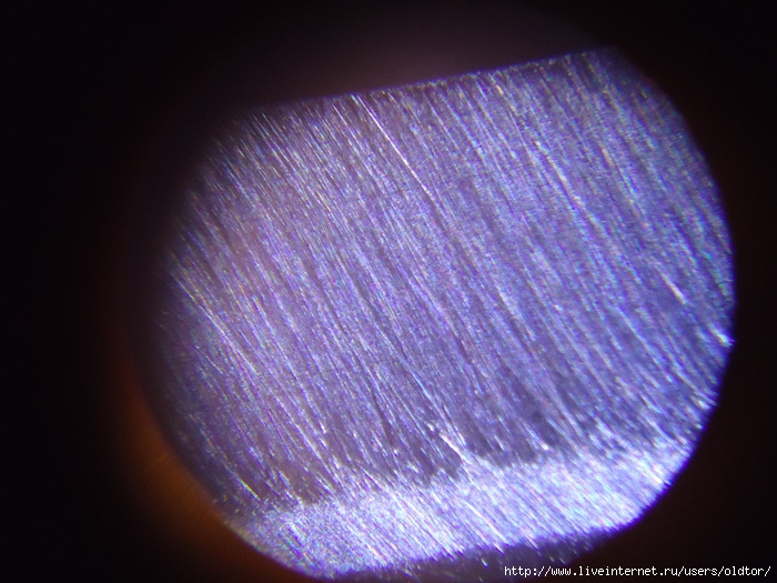 DSC01486 (700x525, 279Kb)
