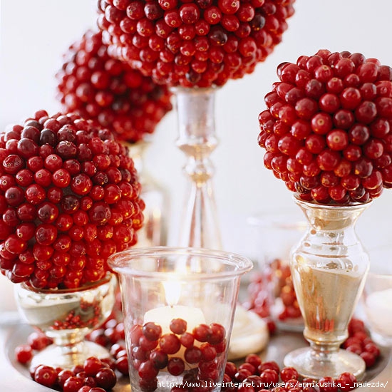 christmas-cranberry-and-red-berries-decorating-shape1-1 (550x550, 222Kb)