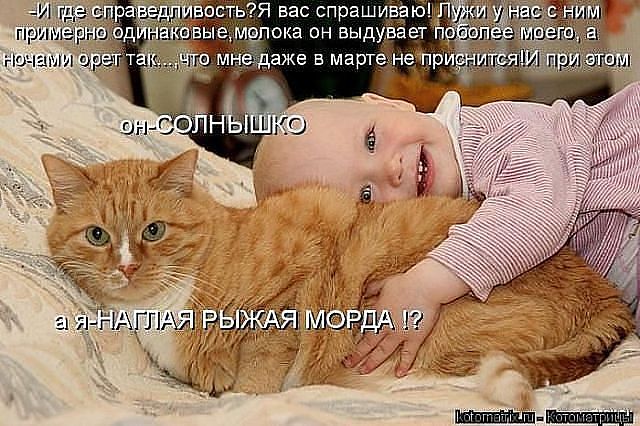 getImage (64) (640x426, 73Kb)