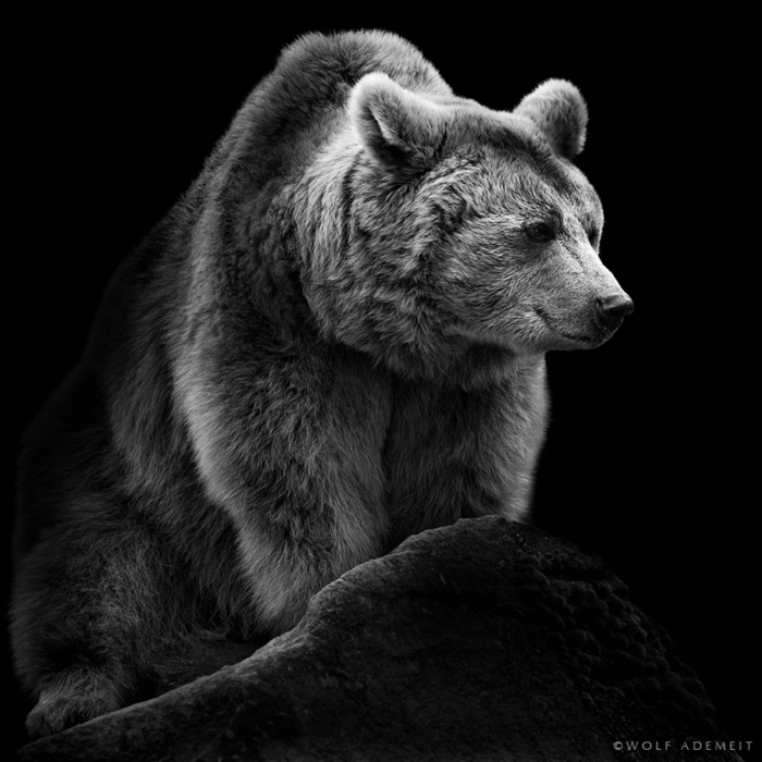 34 (700x700, 168Kb)