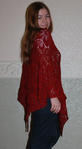 DSC_0198 (384x700, 310Kb)