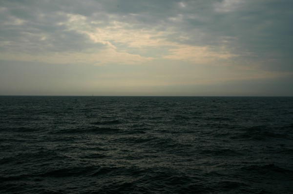 7846 (600x398, 64Kb)