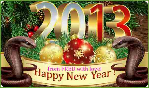 New Year Fred 2013 (606x356, 564Kb)
