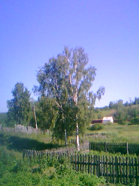140711-1730 (480x640, 52Kb)