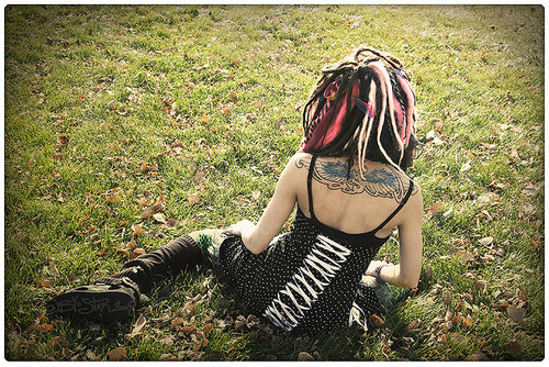 2997832677_c376773bf8_z_large (500x334, 159Kb)