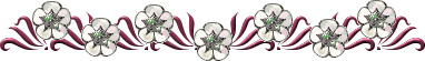 4610040_71505217_r20 (382x55, 9Kb)