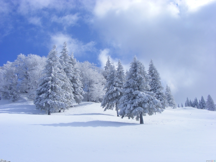 winter_in_bucegi_3264x2448 (700x525, 233Kb)