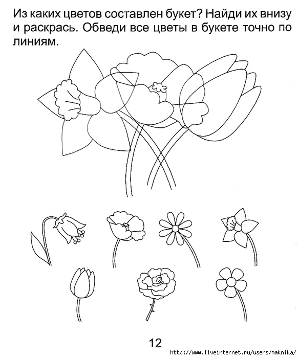 План цветы средняя группа