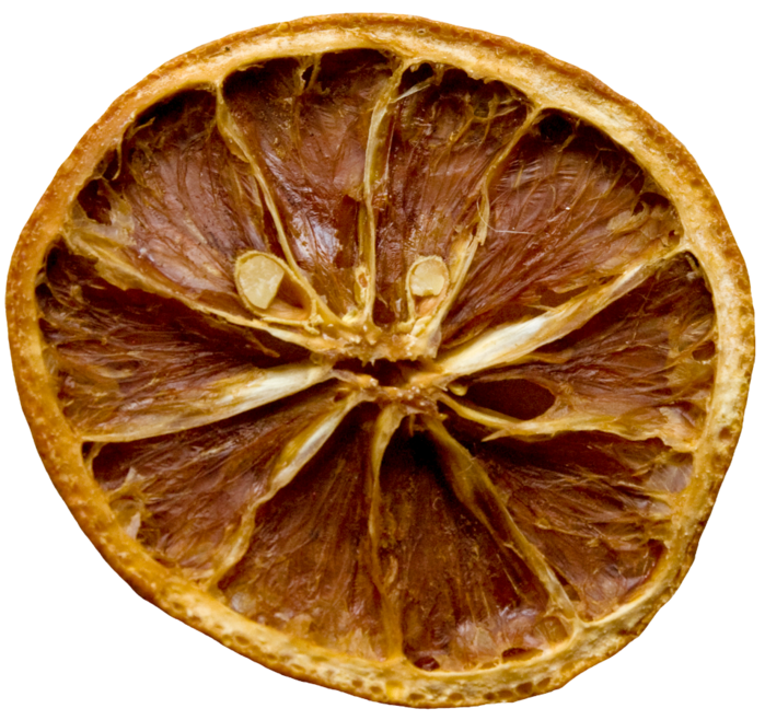 dried_orange_slice_by_LottaDesigns (700x658, 704Kb)