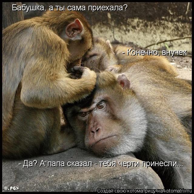    (640x640, 95Kb)