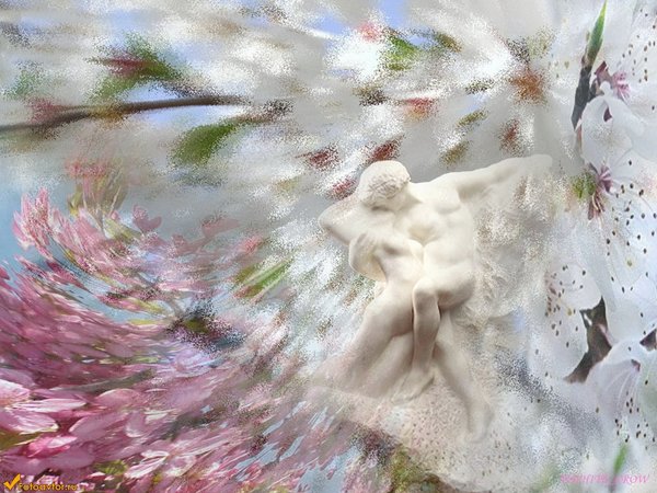 802_4 (600x450, 77Kb)