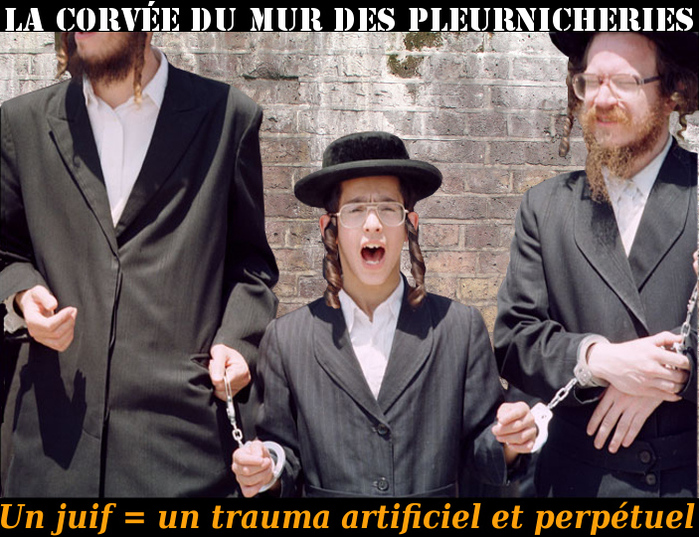 Pleurnicheries au Mur/5046362_Jewish_Pleurnicherie (700x537, 249Kb)