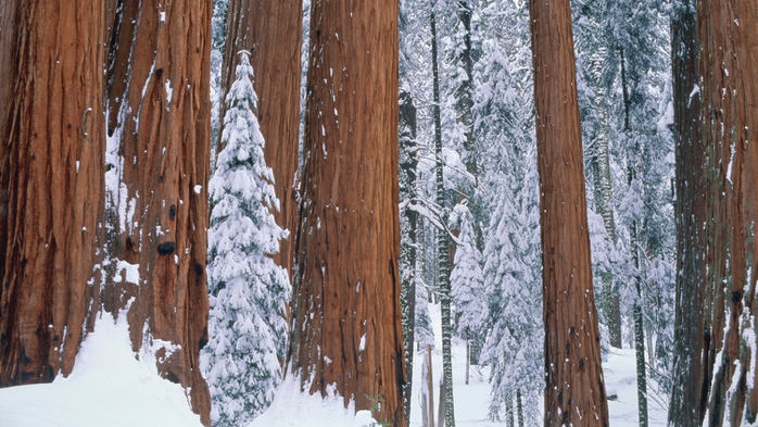 0055848 (700x393, 273Kb)