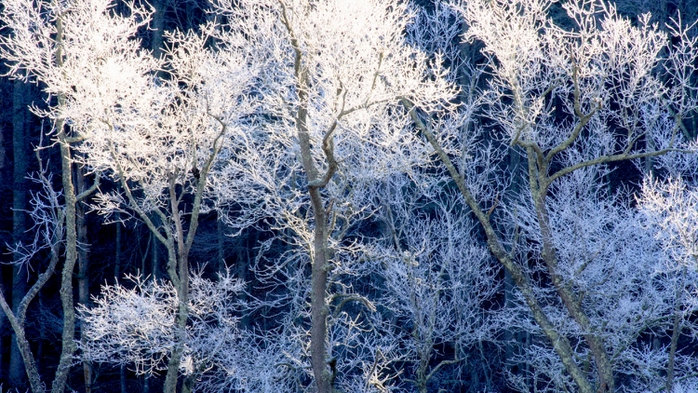 0055932 (700x393, 317Kb)