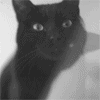 2245788_tumblr_lntasrhNQX1qjdsi1o1_ (100x100, 39Kb)