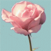 2245788_tumblr_m2nihgDdrN1qcwl12o1_ (100x100, 97Kb)