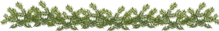 0c04b6fd11c8 (450x65, 48Kb)