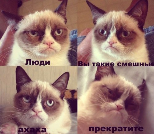 17df26a91739ba889faf9c716166e66127e7291d_500-436 (500x436, 48Kb)