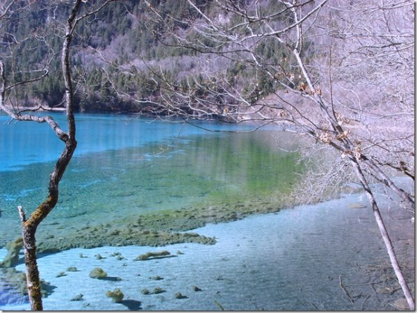 1324629782_jiuzhaigou1_3 (600x450, 83Kb)