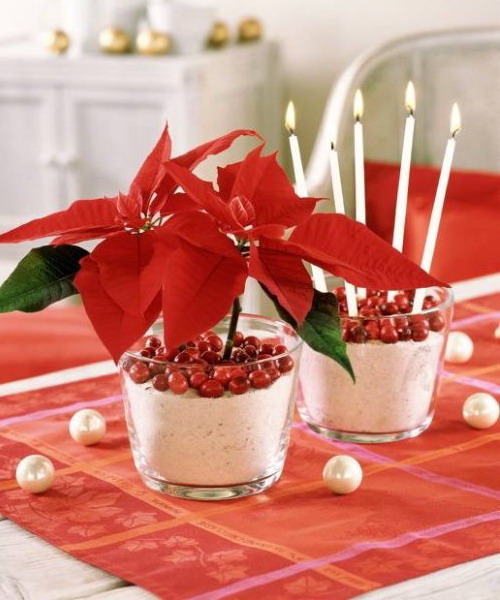 christmas-cranberry-and-red-berries-decorating-combo2-4 (500x600, 78Kb)