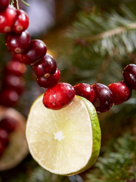 christmas-cranberry-and-red-berries-decorating-shape2-3 (450x600, 62Kb)