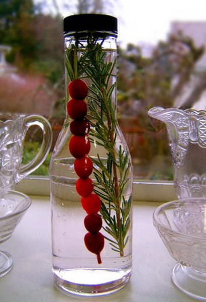 christmas-cranberry-and-red-berries-decorating-misc2-5 (410x600, 69Kb)