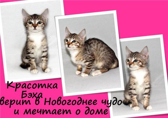 (560x396, 45Kb)