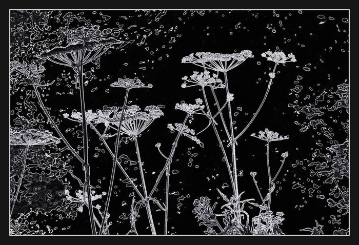 S_VIII (700x478, 128Kb)