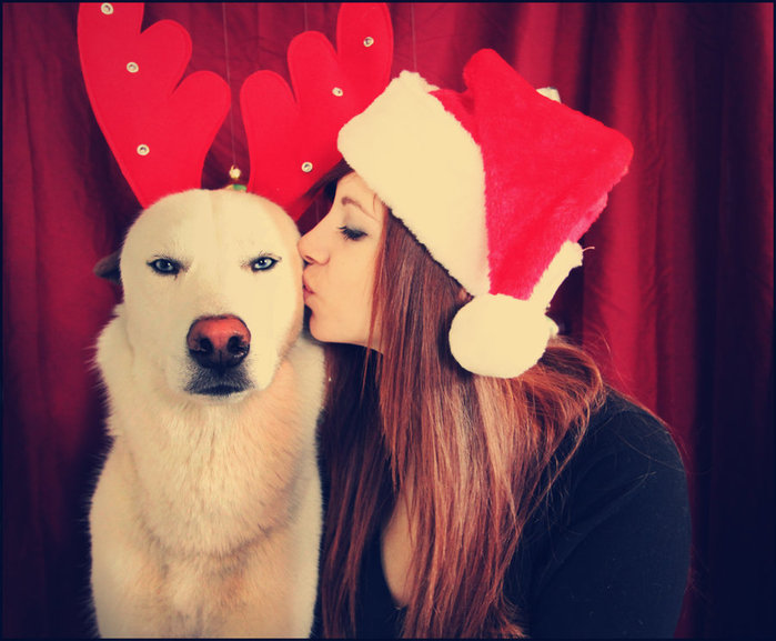 merry_little_christmas_by_bk_photos-d34vb3r (700x577, 79Kb)